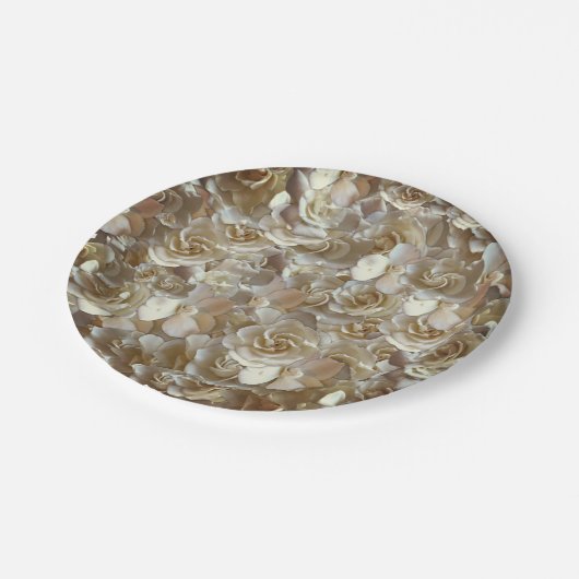 Viele schöne Blütenblätter der Rose Pappteller (Schrägansicht)