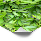 Viele schöne grüne Blätter Poster (Ecke)