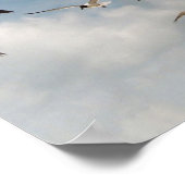 Viele Seagulls Poster (Ecke)