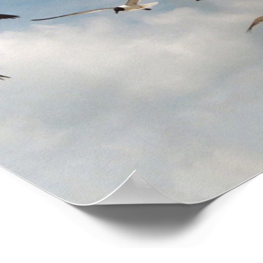 Viele Seagulls Poster (Ecke)