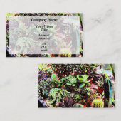 Viele Sorten von Kakteen Visitenkarte (Vorne/Hinten)