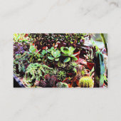 Viele Sorten von Kakteen Visitenkarte (Rückseite)