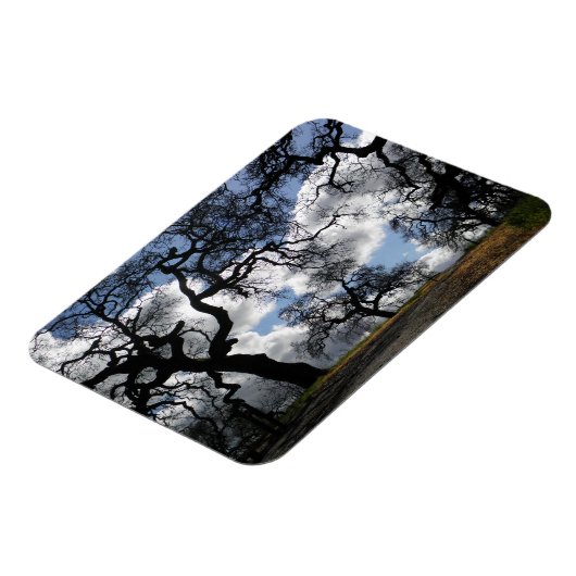 Viele spöttische Bäume Magnet (Linke Seite)