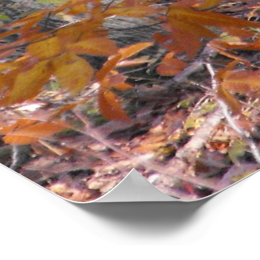 Viele Trunks Poster (Ecke)