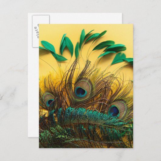 Viele verschiedene Arten von Federn auf einem gelb Postkarte (Vorne/Hinten)
