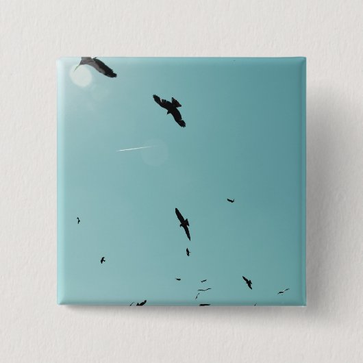 Viele Vögel und ein Kontrastmittel Button (Vorderseite)