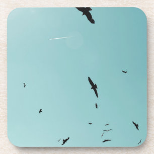 Viele Vögel und ein Kontrastmittel Getränkeuntersetzer