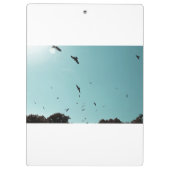 Viele Vögel und ein Kontrastmittel Klemmbrett (Rückseite)