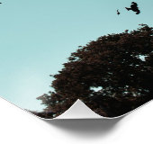 Viele Vögel und ein Kontrastmittel Poster (Ecke)