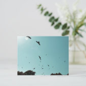 Viele Vögel und ein Kontrastmittel Postkarte (Stehend Vorderseite)