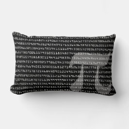 Viele Ziffern der mathematischen Konstanten Lumba Lendenkissen