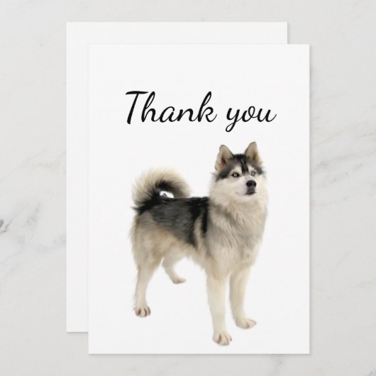 Vielen Dank, American Eskimo Malamute Dog Tier Dankeskarte (Vorne/Hinten)