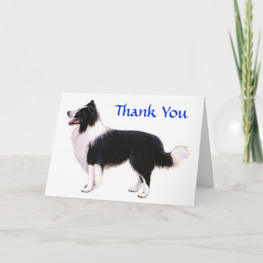Vielen Dank an Border Collie Grußkarte - Verse Dankeskarte (Vorderseite)