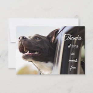 Vielen Dank an den Niedlichen Hund aus dem Fenster Dankeskarte