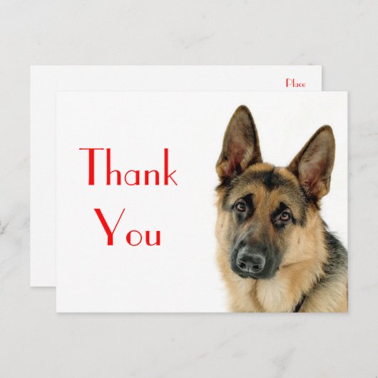 Vielen Dank an die deutsche Schäferpuppy-Dog-Postk Postkarte (Vorne/Hinten)