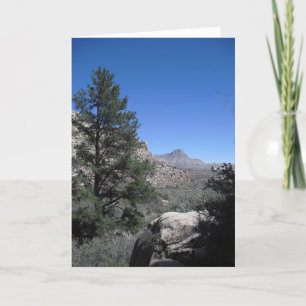 Vielen Dank an Sailor, Vegas 09 274 Dankeskarte