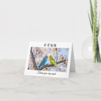 Vielen Dank auf Chinesisch Mandarin Wellensittiche
