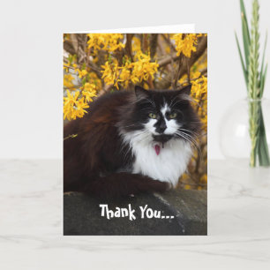 Vielen Dank Autumn Cat Grußkarte Dankeskarte