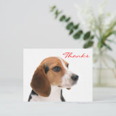 Vielen Dank Beagle Welpe Hund Gruß Postkarte (Stehend Vorderseite)