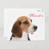Vielen Dank Beagle Welpe Hund Gruß Postkarte (Vorne/Hinten)