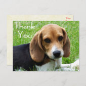 Vielen Dank Beagle Welpe Hund Grußkarte Post Card Postkarte (Vorne/Hinten)