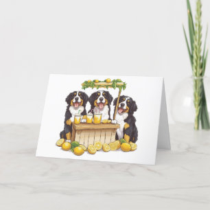 Vielen Dank Bernese Mountain Hunde Lemonade Stand Dankeskarte