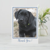 Vielen Dank Black Labrador - Blue Gray Niedlich Pu Dankeskarte (Stehend Vorderseite)