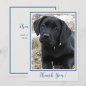 Vielen Dank Black Labrador - Blue Gray Niedlich Pu Dankeskarte (Vorne/Hinten)