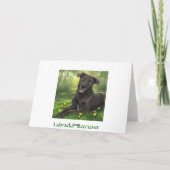 Vielen Dank Black Labrador Retriever Grußkarte Dankeskarte (Rückseite)