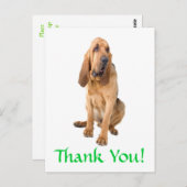 Vielen Dank Bloodhound Hund Gruß Postkarte (Vorne/Hinten)