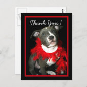 Vielen Dank Blue Pitbull Welpe Postkarte (Vorne/Hinten)