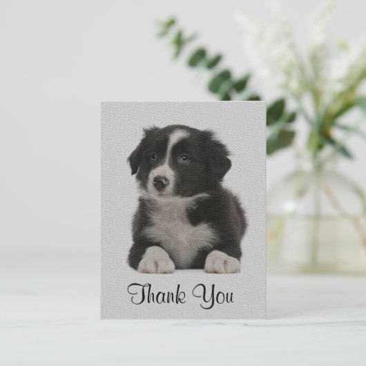 Vielen Dank Border Collie Welpe Doppy Post Card Postkarte (Stehend Vorderseite)