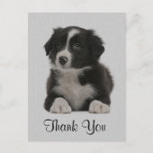 Vielen Dank Border Collie Welpe Doppy Post Card Postkarte (Vorderseite)