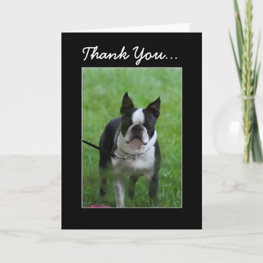 Vielen Dank Boston Terrier Grußkarte Dankeskarte (Vorderseite)