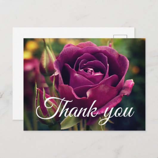 Vielen Dank, Burgundy Iceberg Rose #1 Postcard Postkarte (Vorne/Hinten)