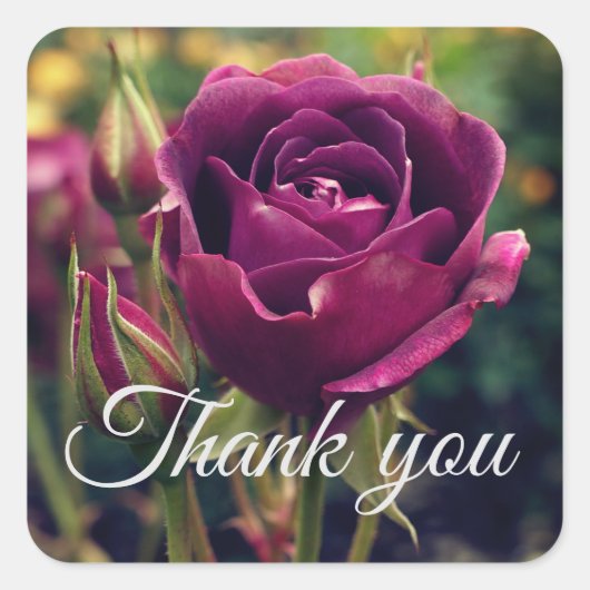 Vielen Dank, Burgundy Iceberg Rose #1 Stickers (Vorderseite)