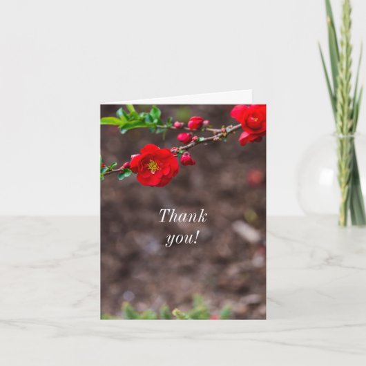 Vielen Dank Card Scarlet Top Dankeskarte (Vorderseite)