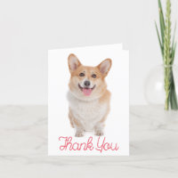 Vielen Dank, Corgie ( Pembroke ) Welpe Hund Note C