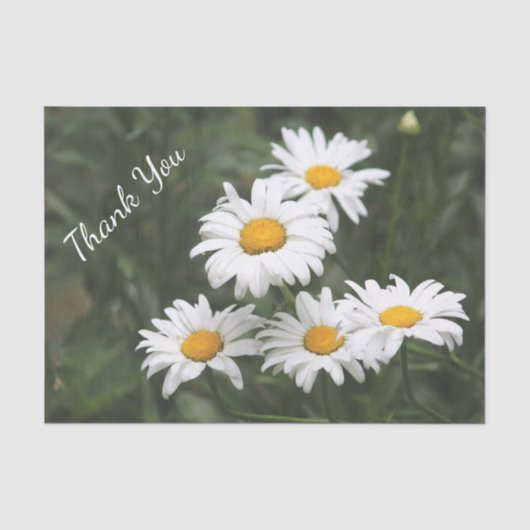 Vielen Dank, Daisy Tissue Paper Seidenpapier (Vorderseite)