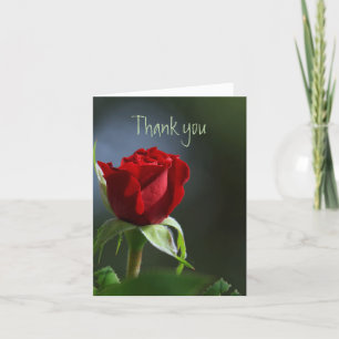 Vielen Dank Danke Roter Rosengarten Blume