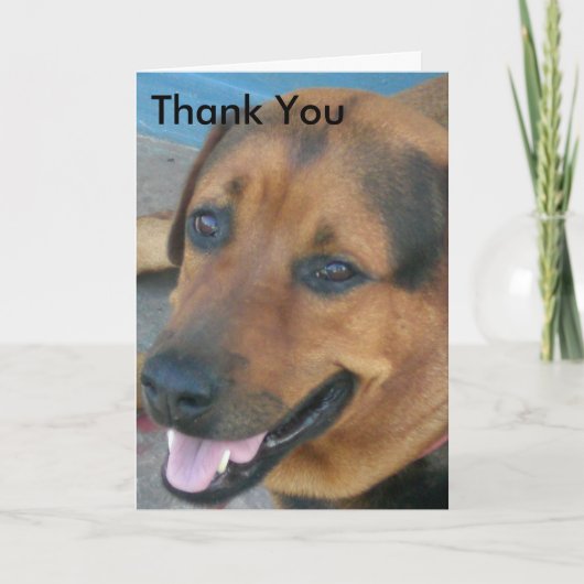 Vielen Dank Dankeskarte (Vorderseite)