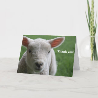 Vielen Dank! Dankeskarte