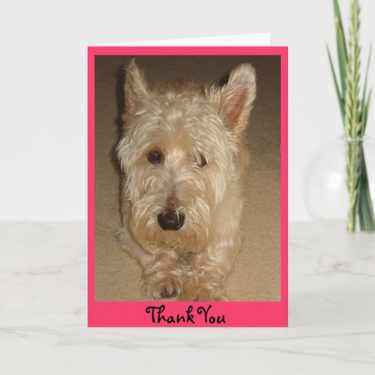 Vielen Dank Dankeskarte (Vorderseite)