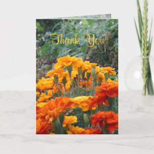 Vielen Dank Dankeskarte