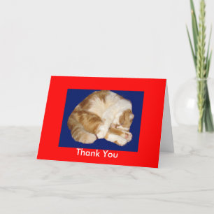 Vielen Dank, dass Sie auf meine Kitty Card aufgepa Dankeskarte