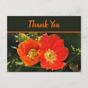 Vielen Dank, dass Sie die Blume Bright Desert Bloo Postkarte