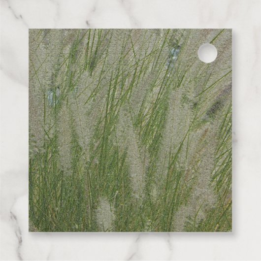 Vielen Dank, dass Sie die Wüstengras-Pflanze schät Geschenkanhänger (Rückseite)