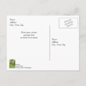 Vielen Dank, dass Sie in der Sonne schwingen Postkarte (Rückseite)