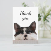 Vielen Dank, dass Sie Niedlich Cat Kitten gesehen  Dankeskarte (Stehend Vorderseite)