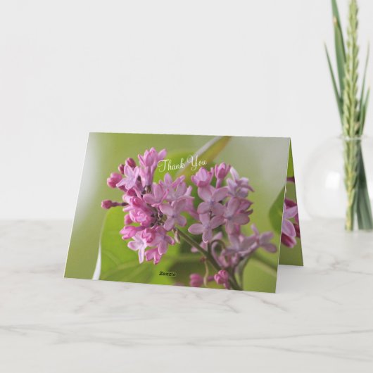 Vielen Dank, dass wir Ihnen alles, was Sie tun, da Dankeskarte (Rückseite)